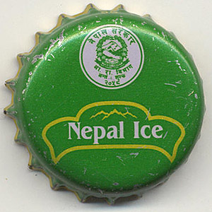 18981