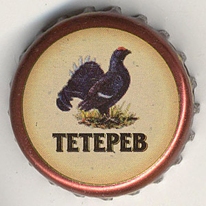 19585