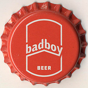 19953