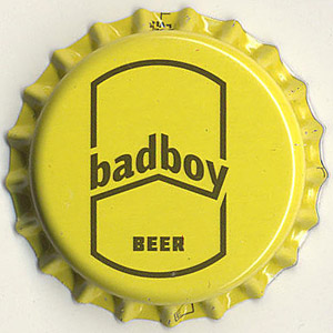 19954