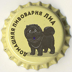 20054