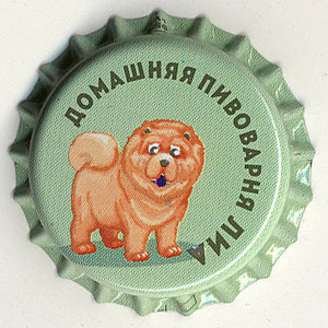 20055