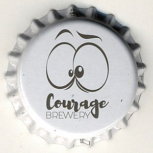 20065