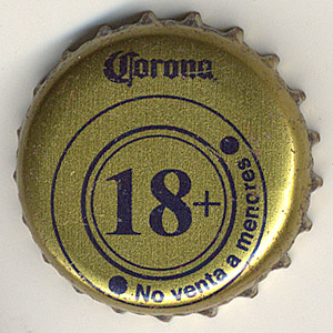 24313