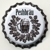 27729